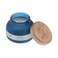 Citrus Scent Candles – Blue Fern 2 - Wick Frosted Jar - Hurbane Home
