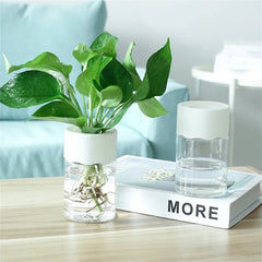 Clear Desktop Vase – Mini Self - Watering Hydroponic Plant Pot - Hurbane Home