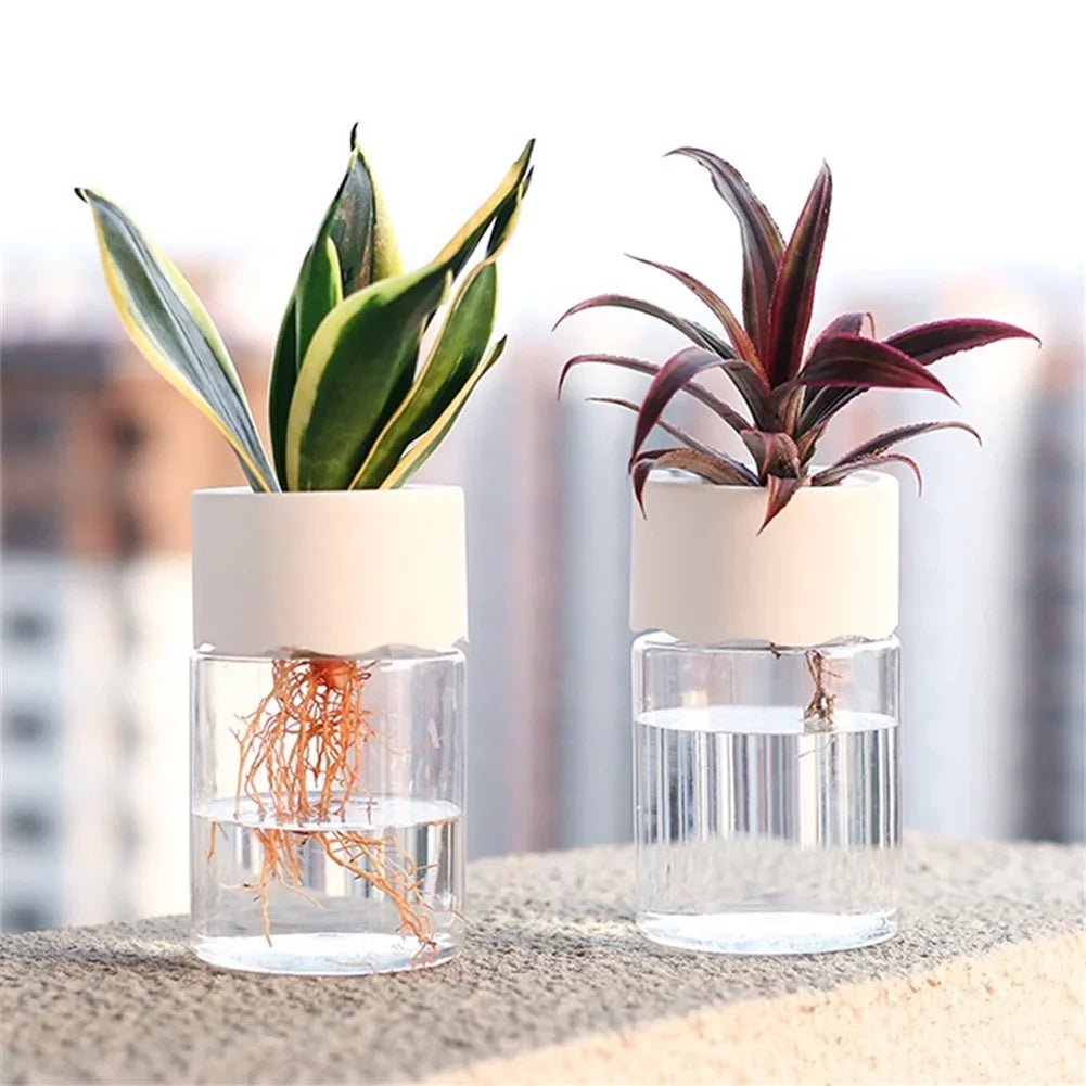 Clear Desktop Vase – Mini Self - Watering Hydroponic Plant Pot - Hurbane Home