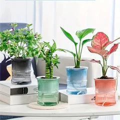 Clear Plastic Plant Pots – Self Watering Hydroponic Double Layer Planter - Hurbane Home