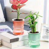Clear Plastic Plant Pots – Self Watering Hydroponic Double Layer Planter - Hurbane Home