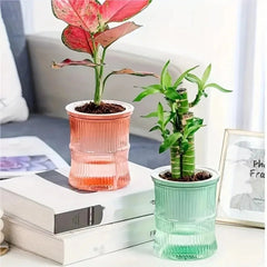 Clear Plastic Plant Pots – Self Watering Hydroponic Double Layer Planter - Hurbane Home