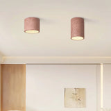 Compact cylindrical surface-mount ceiling light in a matte earthy finish