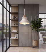 Cone pendant hanging in an open plan room beside tall glass partitions