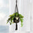 Cotton Rope Plant Hanger - Boho Indoor Decor for Hanging Pots, Macrame Style - Indoor Hanging Planter - Hurbane Home