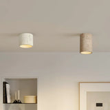 Cylindrical flush mount ceiling light shown from a low front angle