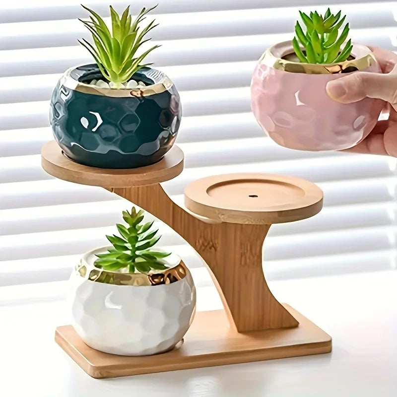 Wooden rack holding small potted plants in living room – wooden plant stand