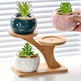 Wooden rack holding small potted plants in living room – wooden plant stand