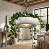 White ring planter pendant with trailing ivy and a downlight