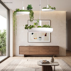 Planter pendant with herbs lit above a walnut sideboard