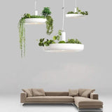 Two white ring planter pendants hung above a pale sofa