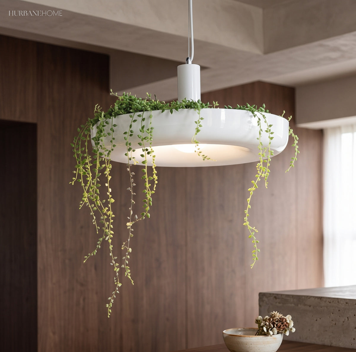 Planter pendant with a trailing string of pearls plant