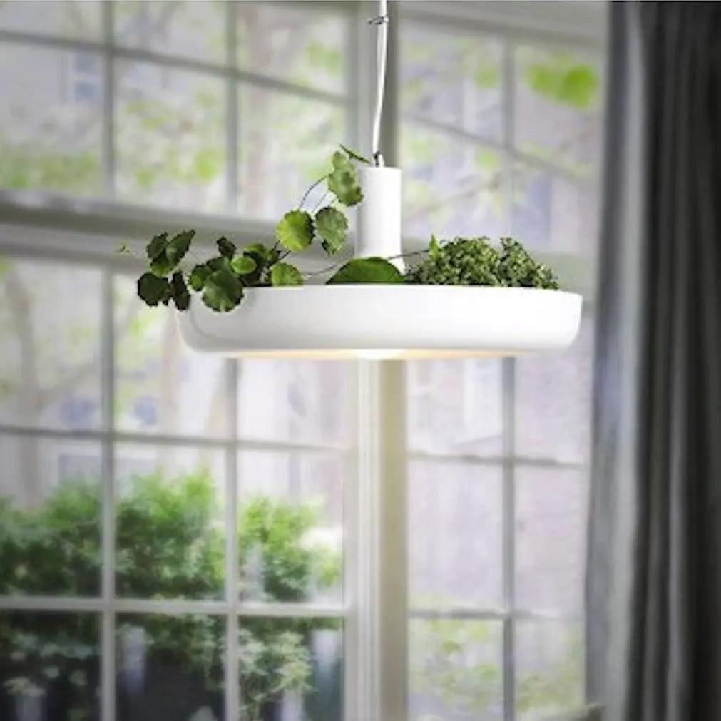 Ring planter pendant lit beside a window full of greenery