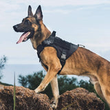 Dog Harness - Tactical No Pull Adjustable Vest with Handle - Dog Harness - Hurbane Home
