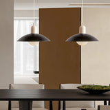 Red dome pendant light with opal glass globe and screw fitting