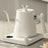 Electric Gooseneck Kettle – 1000W Stainless Steel Coffee Brewing Pot - Hurbane Home