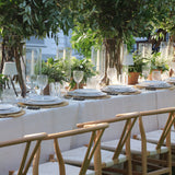 Elegant goblets of wine for celebrations