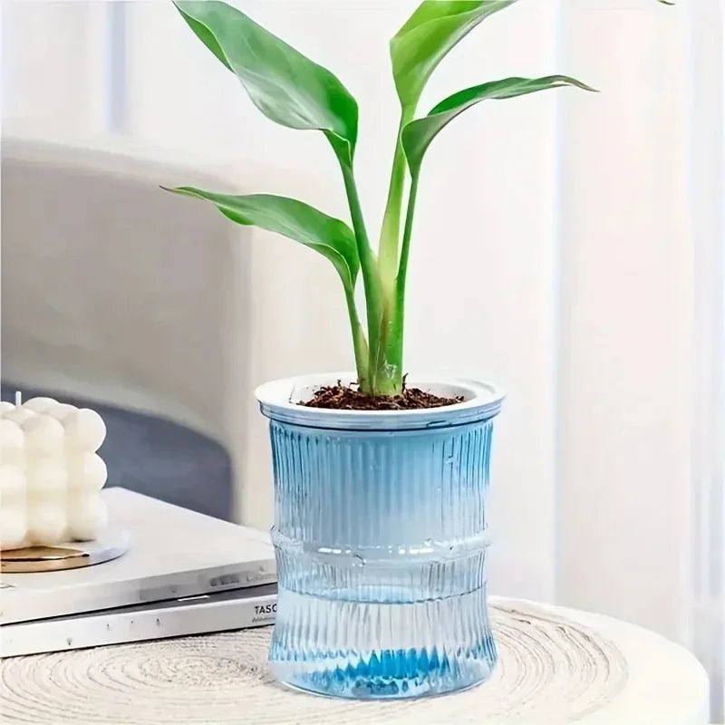 Flower pot transparent design displaying inner water reservoir
