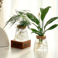 Glass Propagation Station – Desktop Plant Cutting Rack with Six Vases - Hurbane Home