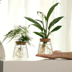Glass Propagation Station – Desktop Plant Cutting Rack with Six Vases - Hurbane Home