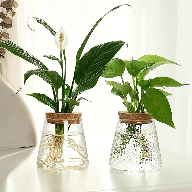 Glass Propagation Station – Desktop Plant Cutting Rack with Six Vases - Hurbane Home