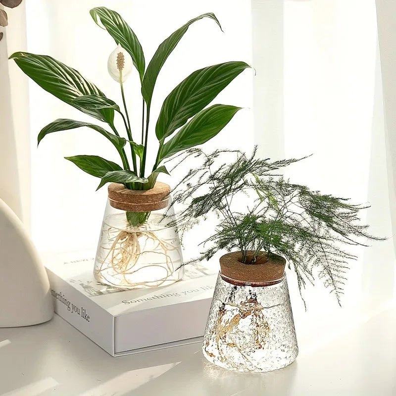 Glass Propagation Station – Desktop Plant Cutting Rack with Six Vases - Hurbane Home