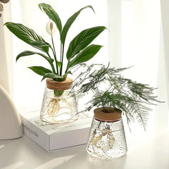 Glass Propagation Station – Desktop Plant Cutting Rack with Six Vases - Hurbane Home