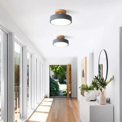 Wood flush mount ceiling light lighting a bright modern hallway with timber floors