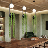 Row of planter pendants with trailing plants above a long table
