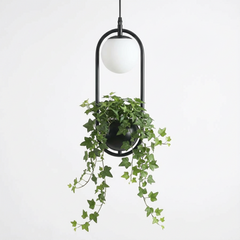Black hoop planter pendant with ivy on a plain white background