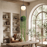 Planter pendant lit beside a tall arched window and open shelving