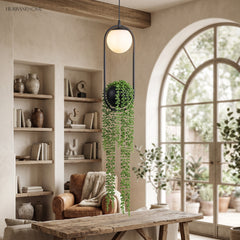 Planter pendant lit beside a tall arched window and open shelving