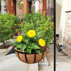 Hanging Planters - Coconut Brown Round Iron Chain Basket Pot - Indoor Hanging Plant Pots - Hurbane Home