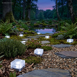 White ice brick lights marking a stepping stone path beside a woodland pond