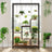 Indoor plants shelf ladder-style with metal frame and wooden panels
