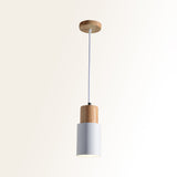 Studio shot of the pale gray pendant with its wood top