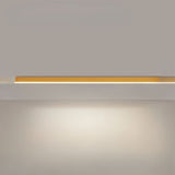 Long linear LED ceiling fixture running across a modern room ceiling