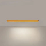 Modern linear LED ceiling fixture lit above a neutral living room