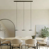 Detail of the remote control used to dim the linear pendant light