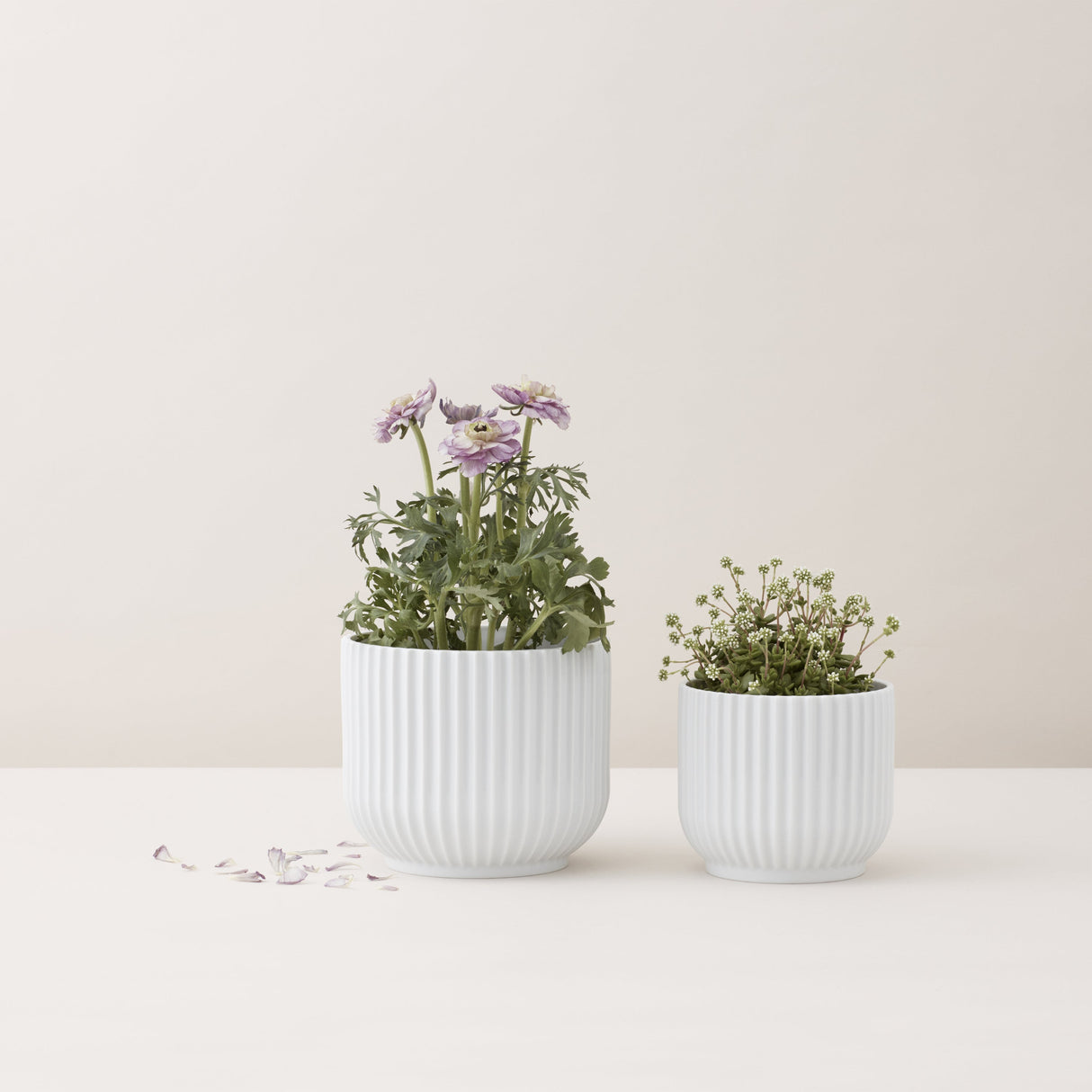 Lyngby Porcelain White Handmade Flowerpot Planter, Bauhaus-Inspired Design