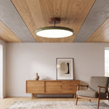 Adjustable Circular Ceiling Lamp