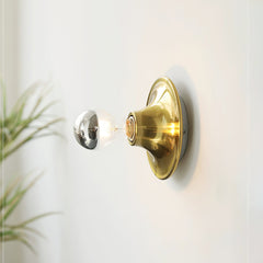 Brass disc wall sconce with a mirror crown bulb beside a plant