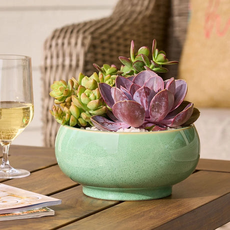 Small green pot styled with succulents on indoor shelf – ceramic garden pots