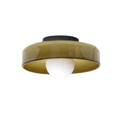 Morrow Disc Ceiling Light Wall Lamp Glass Iron Shade G9