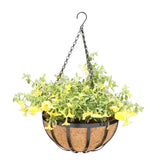 outdoor wall hanging baskets displaying decorative greenery