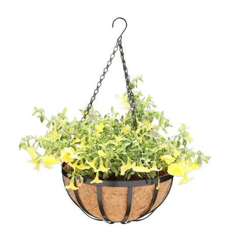 outdoor wall hanging baskets displaying decorative greenery