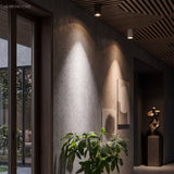 Modern LED Surface Dimmable Ceiling Spotlight Aluminum 1-Light styled in a room setting