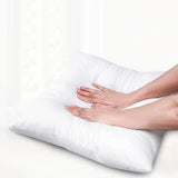 pillow insides set of 4