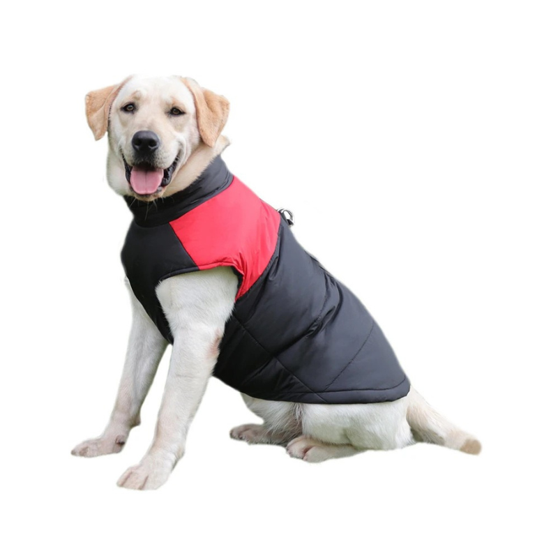 waterproof vest for dogs with leash d-ring winter design