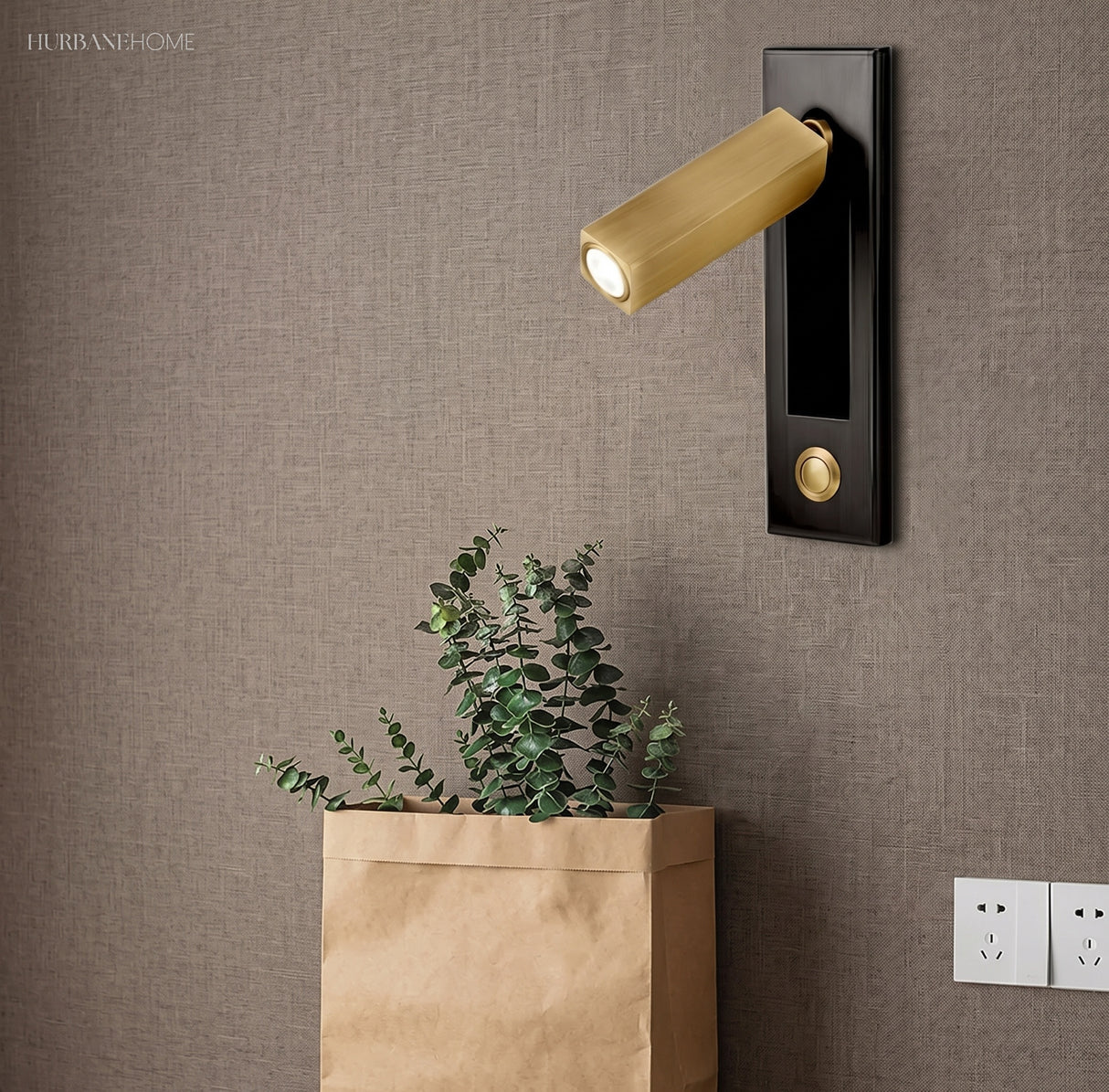 Brass reading sconce on a textured wall above a potted plant